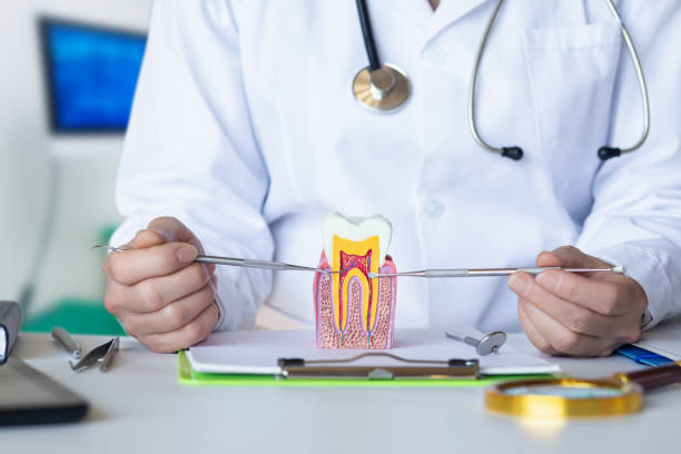 Best Emergency Dental Extractions in Chesapeake, VA